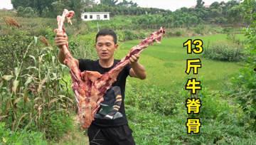 刘大瓜今日视频,娱乐圈幕后真相大曝光！