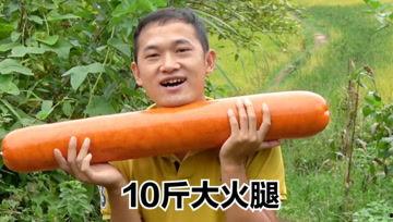刘大瓜今日视频,娱乐圈幕后真相大曝光！