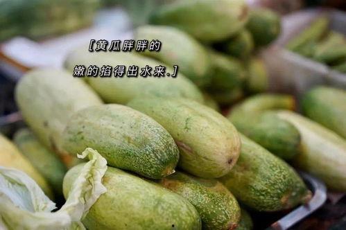 海宁吃瓜爆料公司有哪些,盘点热门八卦幕后推手