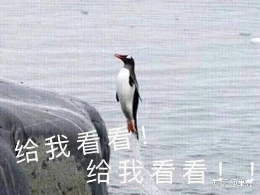 沉香吃瓜爆料图片表情包,揭秘娱乐圈幕后风云