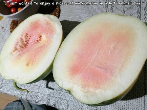沙白瓜今日价格,市场行情一览