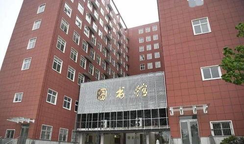 河南吊瓜今日行情,丰收喜人，价格稳中有升