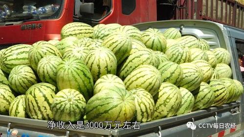九月热门大瓜,明星秘闻、恋情曝光，精彩纷呈！