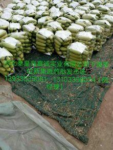 九月热门大瓜,明星秘闻、恋情曝光，精彩纷呈！