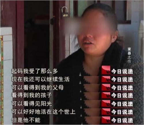今日说法卖瓜,揭秘卖瓜背后的故事与真相