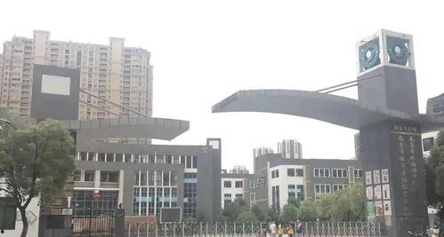 近期热门吃瓜事件学校,揭秘近期热门吃瓜事件背后的真相