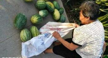 青海近期热门吃瓜事件,揭秘近期热门吃瓜事件背后的故事