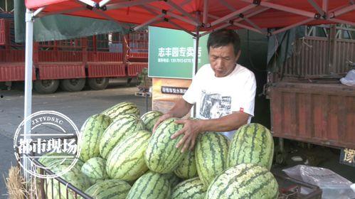 新疆今日瓜价行情,今日瓜价行情一览