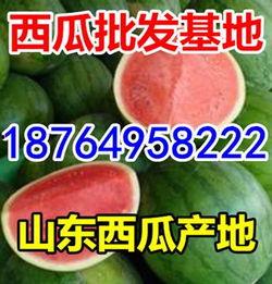 山东寿光今日瓜价,新鲜直供，价格行情一览