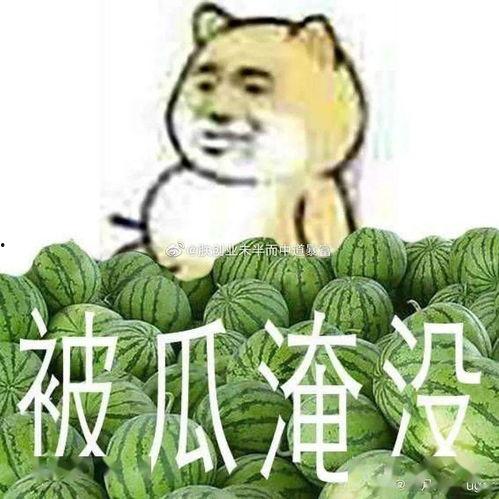 黑料吃瓜人,从黑料吃瓜到人生感悟