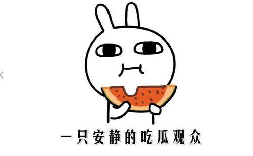 黑料吃瓜不,黑料背后的真相与八卦风云