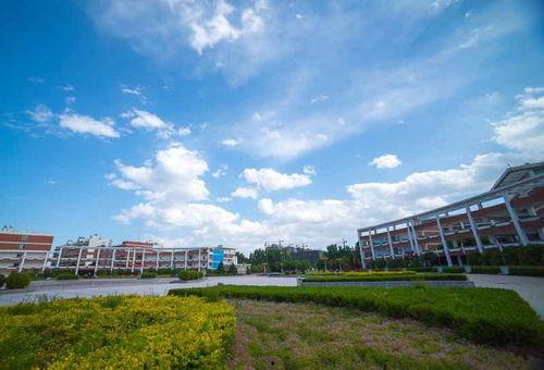 河南技术学院吃瓜爆料,揭秘校园风云事件