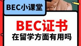 吃瓜爆料视频教程大全,视频教程大全解析