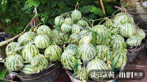 陇南吃瓜爆料是真的吗,真相揭秘，是真是假？