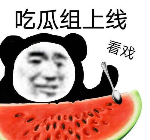 国产 黑料 吃瓜,吃瓜群众如何解读娱乐圈风云