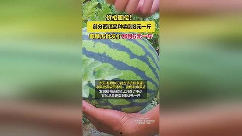 麒麟瓜价格今日价,市场行情一览