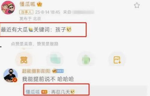 热瓜网今日更新,今日热点事件大盘点