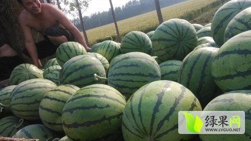 青州近期热门吃瓜事件,揭秘近期热门吃瓜事件背后的真相