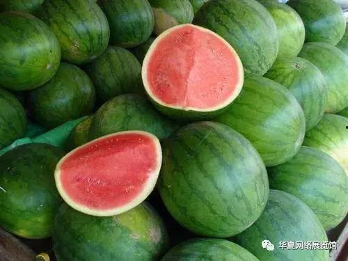 西瓜红瓜今日价格,今日西瓜与红瓜价格行情一览