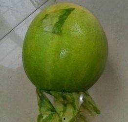 丽水今日吃瓜事件,一场网络热议背后的真相揭秘