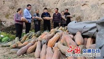 河津近期热门吃瓜事件,揭秘近期热门吃瓜事件背后的真相