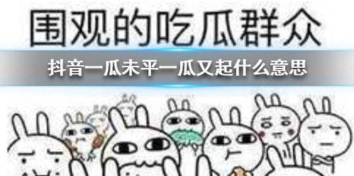 抖音热门最新吃瓜,最新吃瓜事件，揭秘幕后真相！