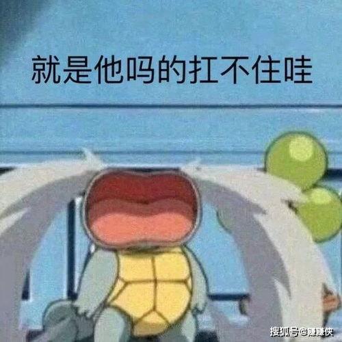 吃瓜表情包热门图片,网络时代的“瓜田”狂欢