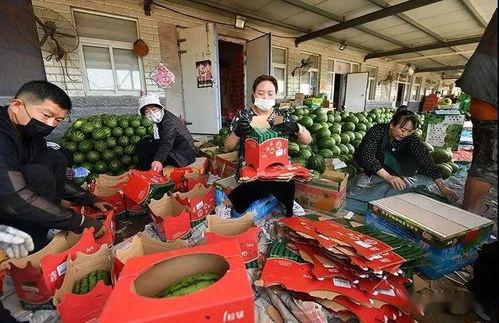 潍坊吃瓜群众爆料事件