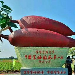 恩施的热门瓜是啥,探寻热门瓜果的魅力