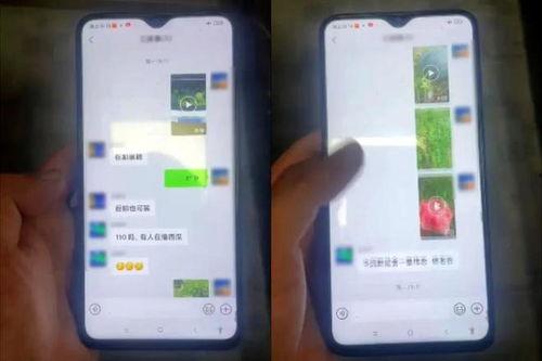 河南鹿邑偷瓜热门视频