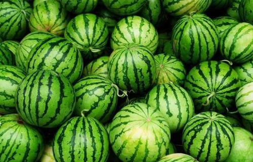 今日必吃的瓜,揭秘娱乐圈最新热点事件