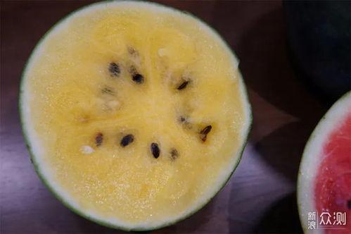 全网吃瓜黑料,揭秘娱乐圈背后的真相与争议