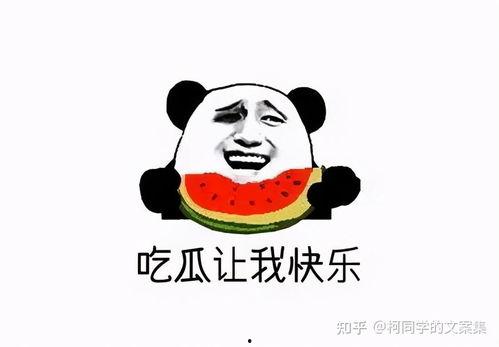 热门吃瓜搞笑段子文案,吃瓜群众必备的搞笑段子大盘点