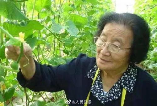 成都吃瓜爆料是真的吗,真相揭秘，是真是假？