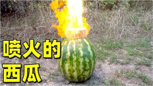 上热门大瓜已结束,揭秘幕后真相，精彩瞬间回顾