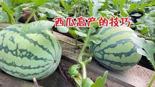 上热门大瓜已结束,揭秘幕后真相，精彩瞬间回顾