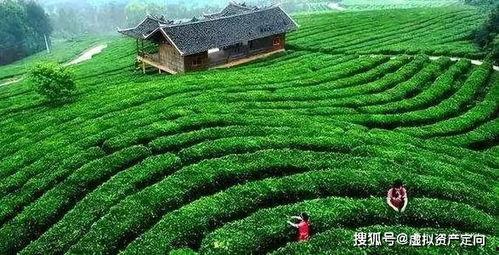 恩施热门大瓜种植地点,探寻神秘瓜果的故乡