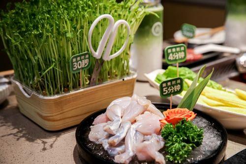 51热门大瓜海底捞,揭秘51热门大瓜背后的真相
