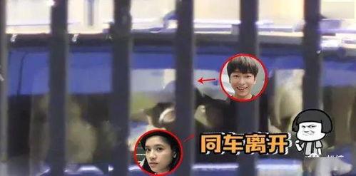 吃瓜爆料男生和女生视频,吃瓜爆料，神秘男女视频引发热议