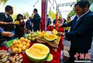 定州吃瓜最新事件爆料,揭秘背后真相与网络舆论风暴