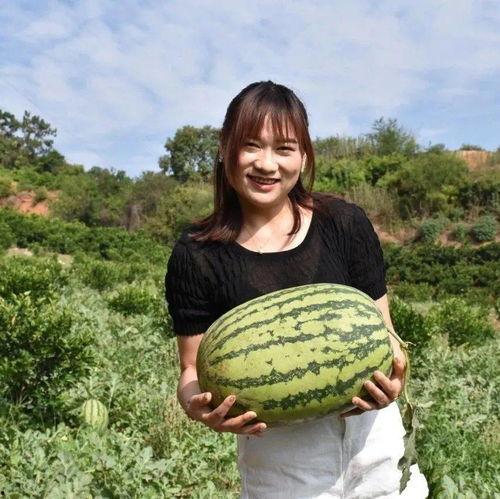 去年都有哪些热门大瓜,2023年度娱乐圈十大热门大瓜大盘点