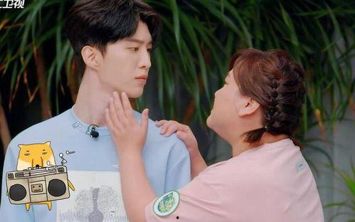 吃瓜爆料贾玲视频全集,吃瓜爆料背后的欢乐与感动