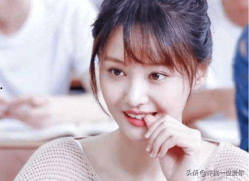 娱乐圈吃瓜爽文