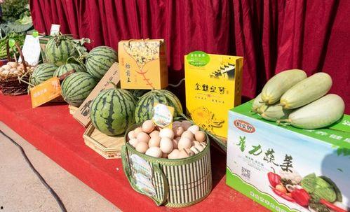 淮北爆料吃瓜事件真相,揭秘背后真相与真相背后的真相