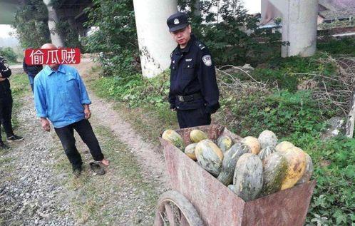 淮北爆料吃瓜事件真相,揭秘背后真相与真相背后的真相