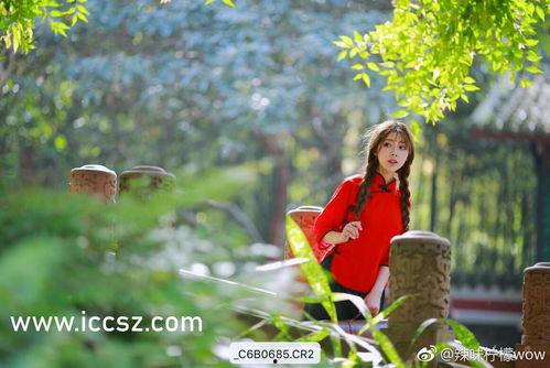 吃瓜黑料关,吃瓜黑料背后的真相与反思