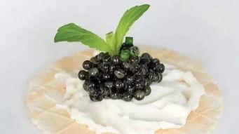 黑料吃瓜zhangjingyu,张静瑜的争议人生