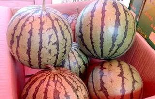 近期的热门吃瓜新闻,揭秘明星们的幕后故事