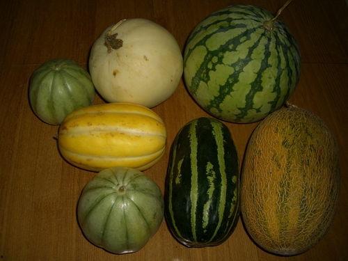 各种网红爆料吃瓜群,吃瓜群里的娱乐圈风云录