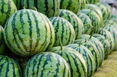 各种网红爆料吃瓜群,吃瓜群里的娱乐圈风云录